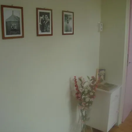 Rise & Shine * Katwoude